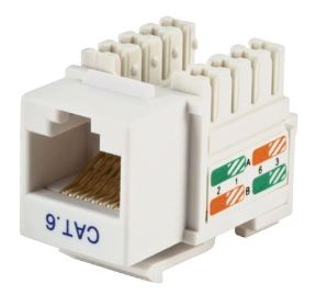 CAT6 coupler module